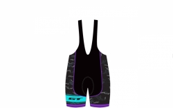 GT 2016 kraťasy se šráky dámské purple/blue vel. M