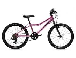 Core Nipper 20" (2025) 1x6sp. (7.93) chromovaná rosé