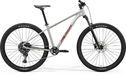 Merida BIG.NINE 200 (2026) Matt Grey(Glitter Cherry)