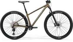 Merida BIG.NINE TR LIMITED (2024) Silk Sparkling Gold(Grn/Blk)