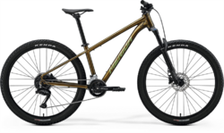 Merida BIG.SEVEN 60 (2026) Silk Pineapple Gold(Green)