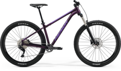 Merida BIG.TRAIL 400 (2023) Silk Dark Purple(Slv-Purple)
