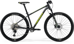 Merida BIG.NINE SLX-EDITION (2023) Dark Silver(Green/Silver)