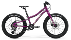 Merida MATTS J.20+ (2022) Purple(Black/Champagne)