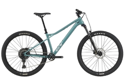 GT ZASKAR LT 29" COMP (JDE)