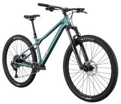 GT ZASKAR LT 29" COMP (JDE)