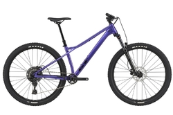 GT ZASKAR LT 29" COMP (PUR)