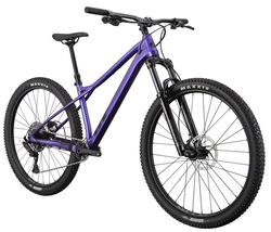 GT ZASKAR LT 29" COMP PUR