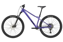 GT ZASKAR LT 29" COMP PUR