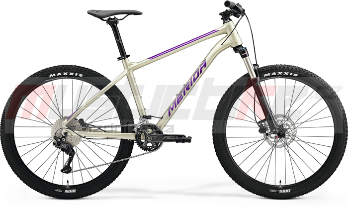 Merida BIG.SEVEN 300 (2023) Silk Champagne(Purple)