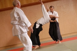 Aikido